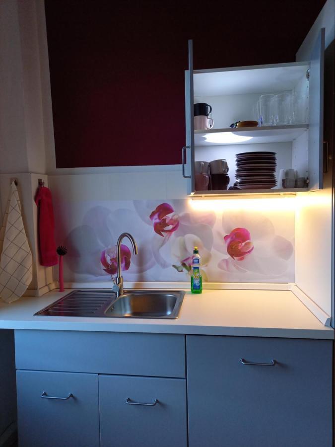 Xenia Apartment Pirna